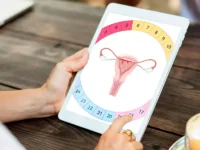 Physiologie de la fertilité et observation du cycle