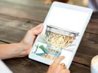 Formation l’essentiel de la naturopathie
